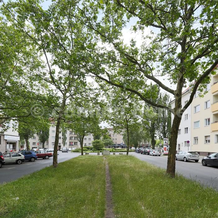 Single urban Living - Photo 3