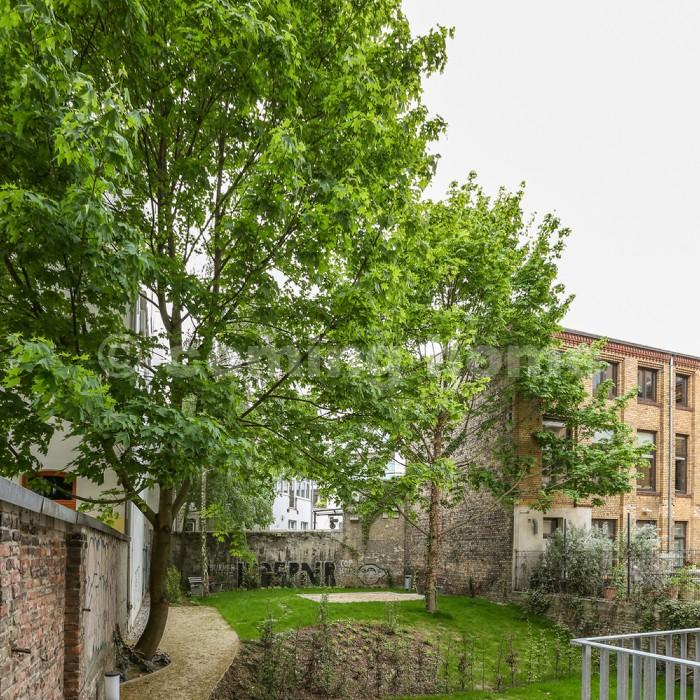 Single Living Nähe Kollwitzplatz - Foto 3