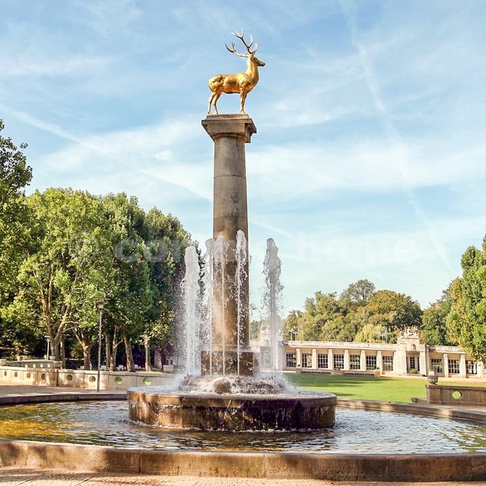 Ruhiges Wohnen mit Garten Nähe Volkspark - Foto 4