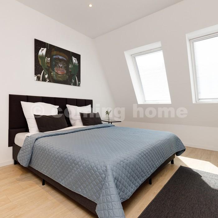 A Great Urban Oasis - Photo 4